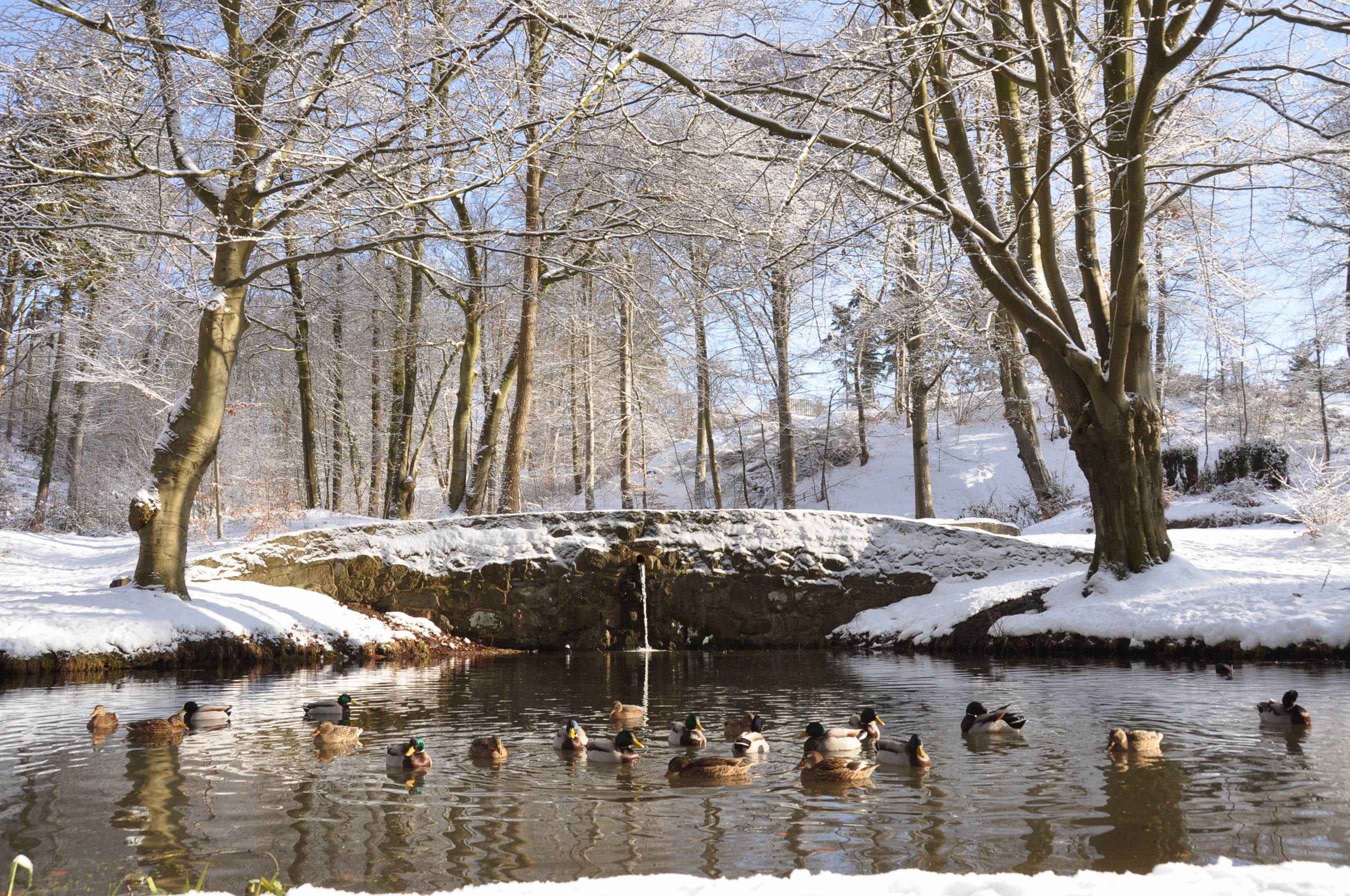 Weihnachten auf Fünen