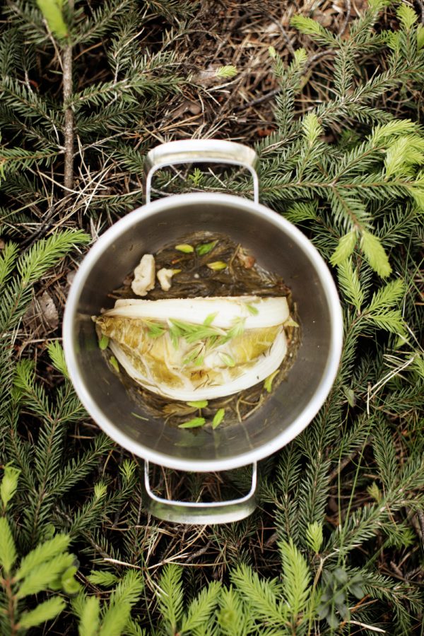 Cauliflower and pine shoots Blumenkohl und Kieferntriebe
