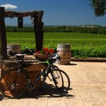 Weinkultur auf den Balearen