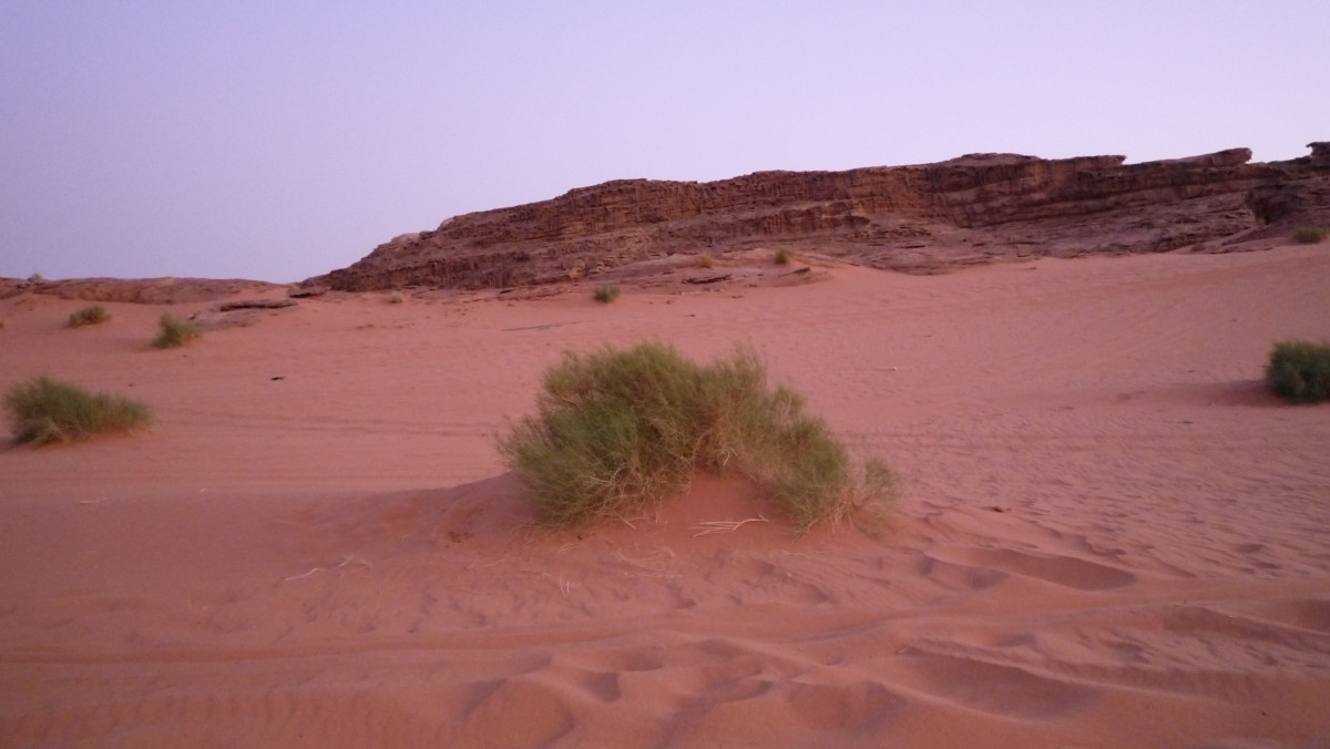 Im Reich der Wüstensöhne Jordanien Wadi Rum