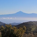 Gomera für Gourmets: Hot Spots, Ausflüge und Spezialitäten