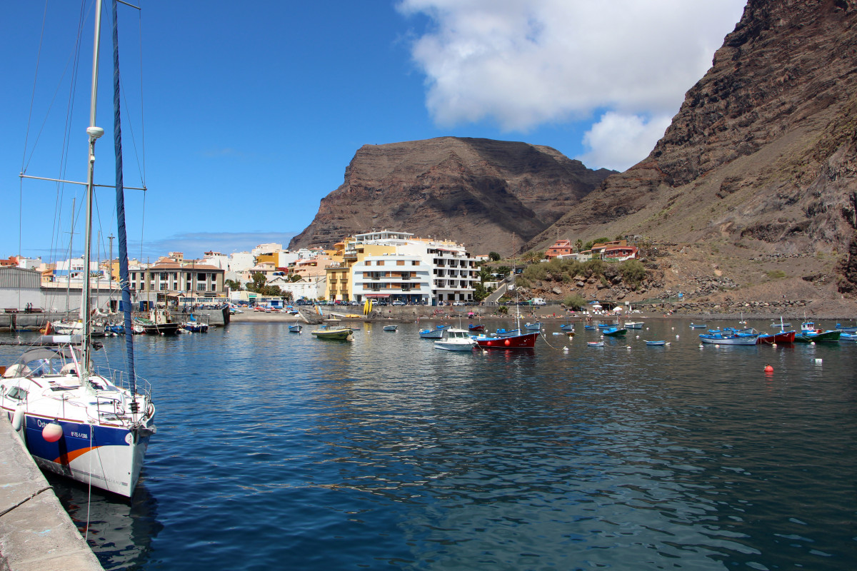 Nachhaltig Delfine und Wale beobachten vor La Gomera