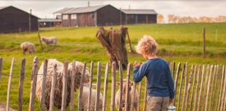 Neue Reiseziele für Glamping Urlaub