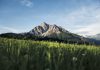 Stubai Tal und Stubaier Alpen