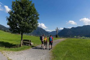 Artenvielfalt in den Ammergauer Alpen