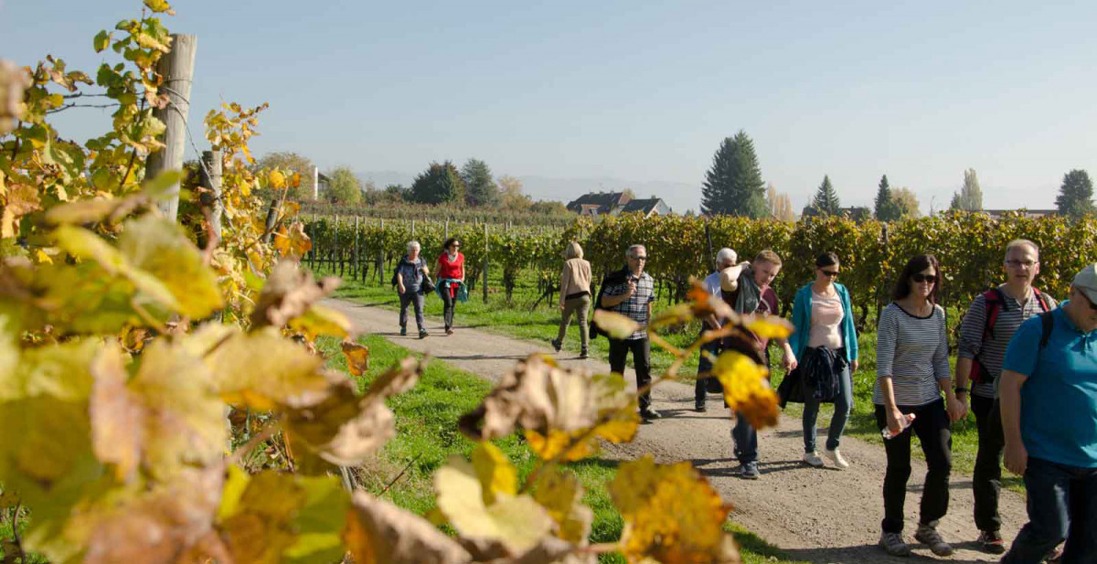 Genussherbst am Bodensee2