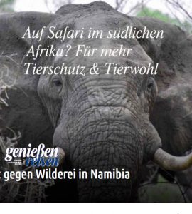 Tierschutz und Tierwohl in Namibia