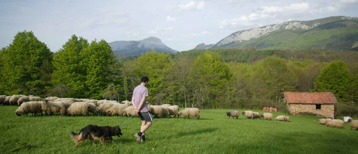 Das Baskenland, ein kulinarisches Vergnügen