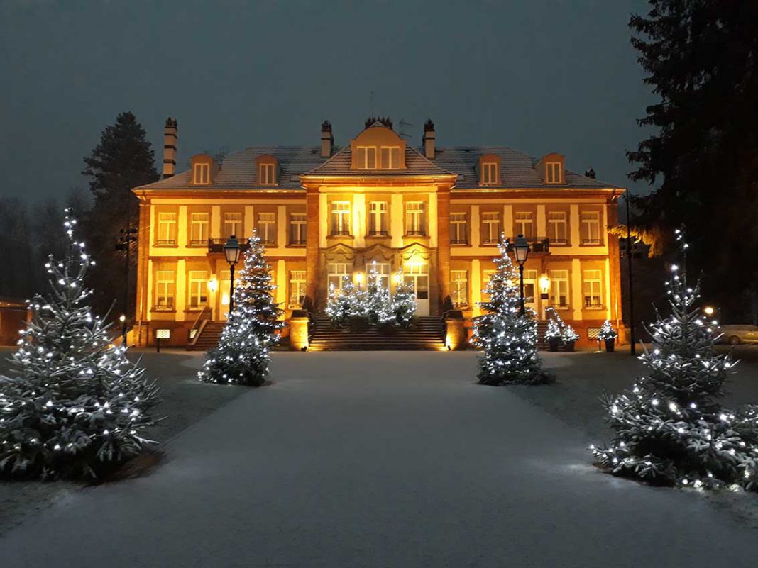 Weihnachtliche Wein-Events in Frankreich