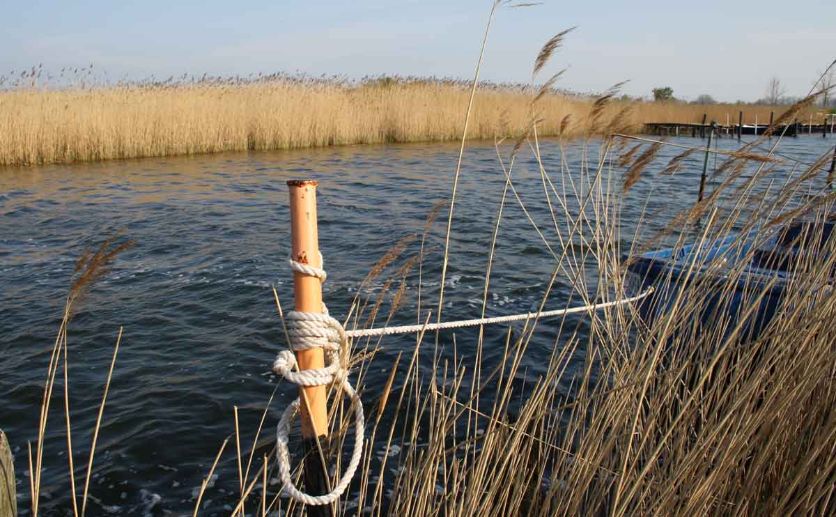 Frühlingsfang auf der Insel Rügen