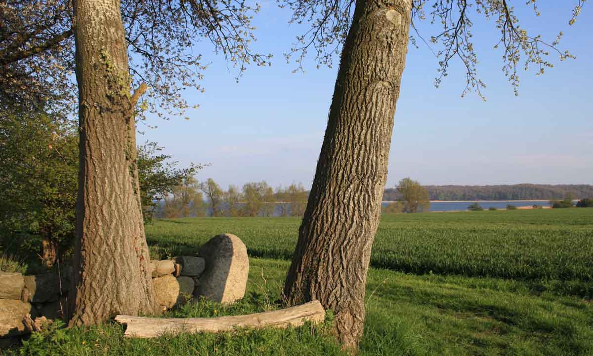 Frühlingsfang auf der Insel Rügen