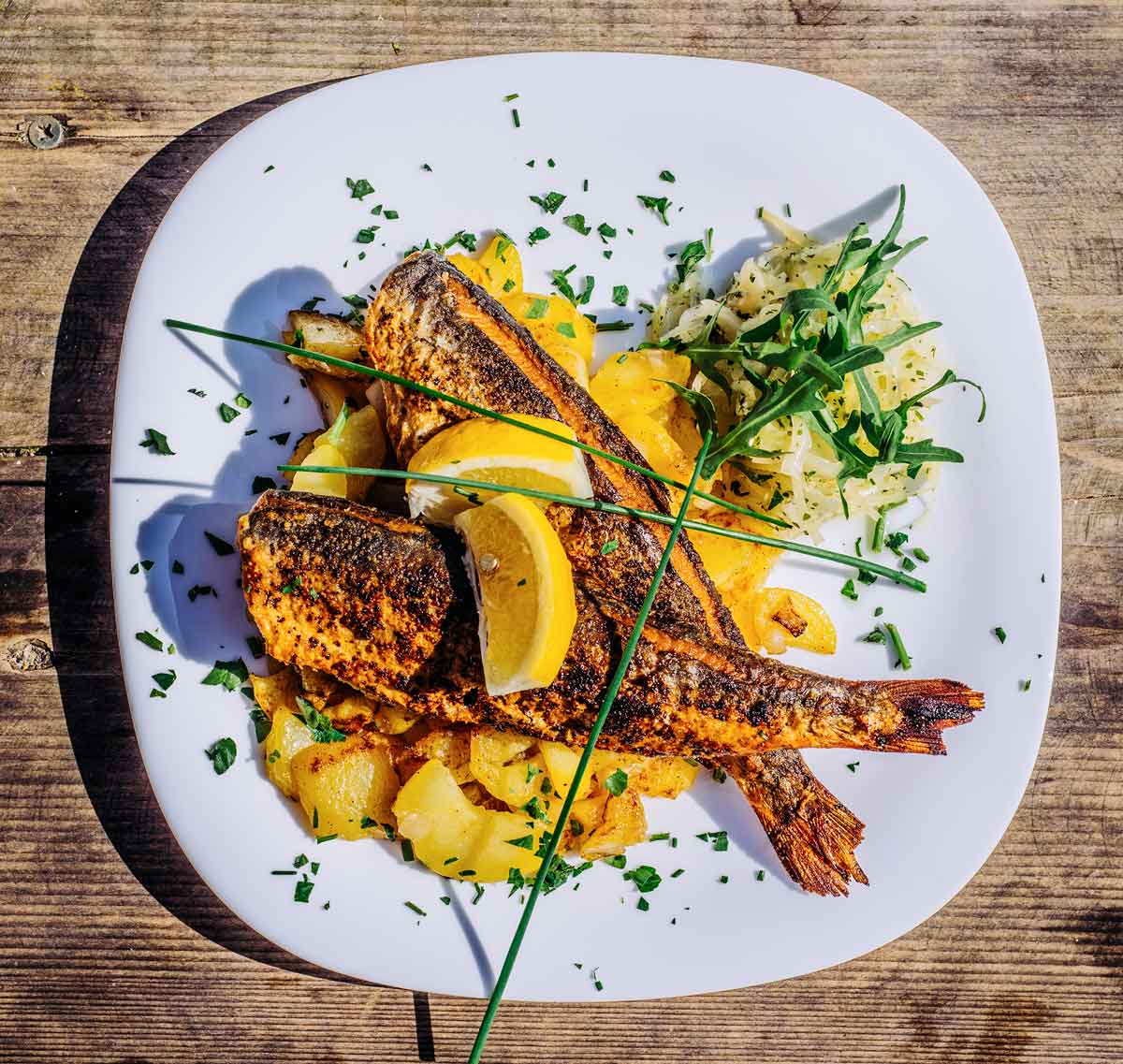 Frühlingsfang auf der Insel Rügen