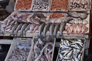 Essaouira: Medina am Meer