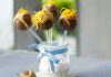 Schoko-Orangen-Cake-Pops ohne Backen