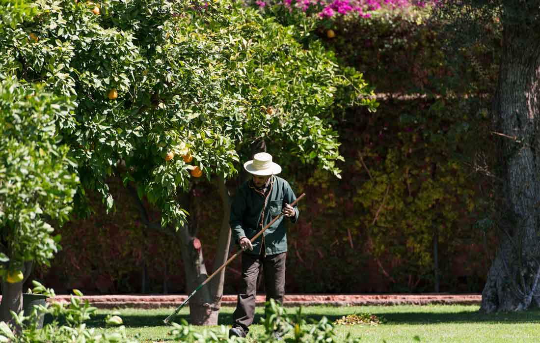 Tipps für den eigenen Garten aus dem legendären La Mamounia