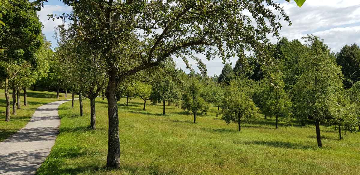 Streuobstwiesen Bad Birnbach / Wolfra