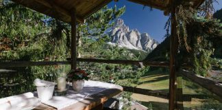 Genussmomente in der Natur Baumhausaperitif mit Weitblick