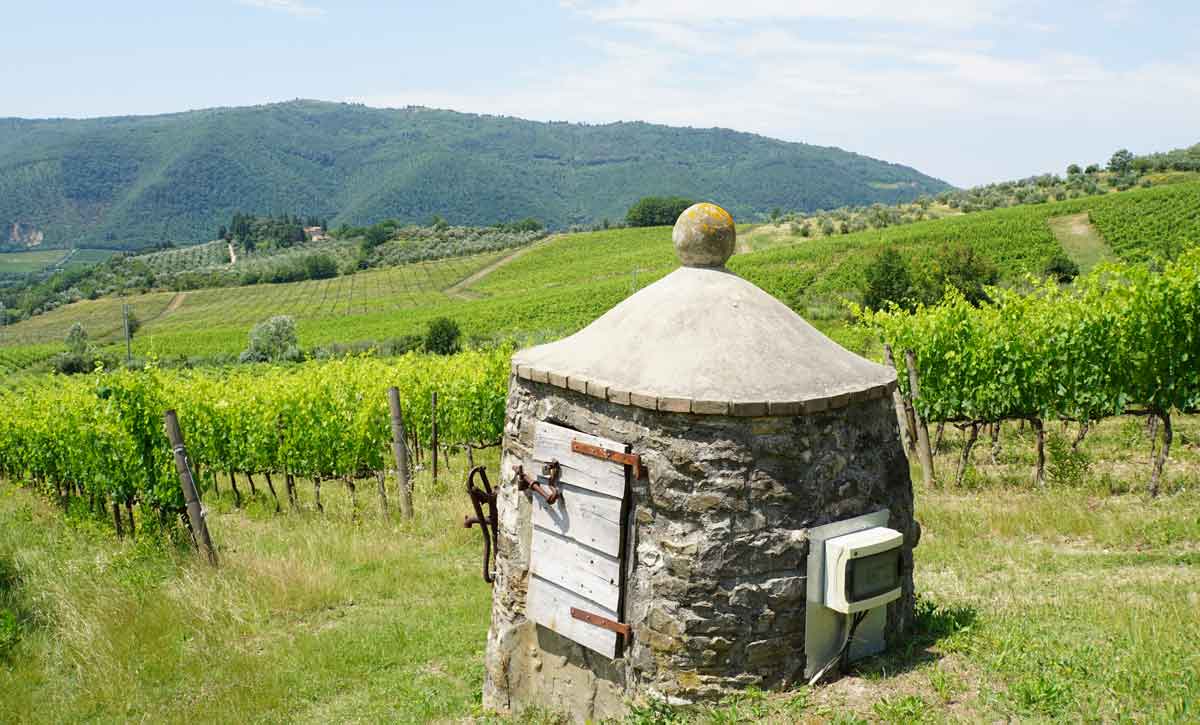 Genussreise zum Wein: Toskana Teil 1