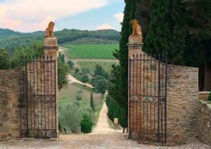 Reise zum Wein Toskana