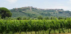 Eine Weinreise in die Toskana Teil 3