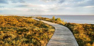 Sylt landschaftliche Vielfalt