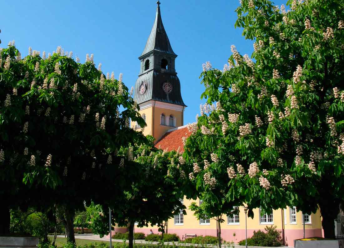 Nordjütland: Salz und Meer