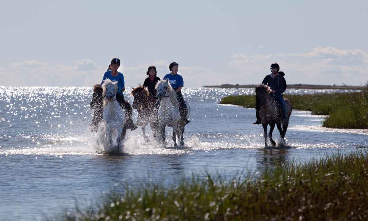 Nordjütland: Salz und Meer