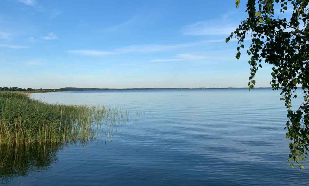 Am Stettiner Haff: Kräuselnd Blau und wogend Grün