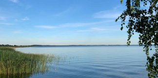 Am Stettiner Haff: Kräuselnd Blau und wogend Grün