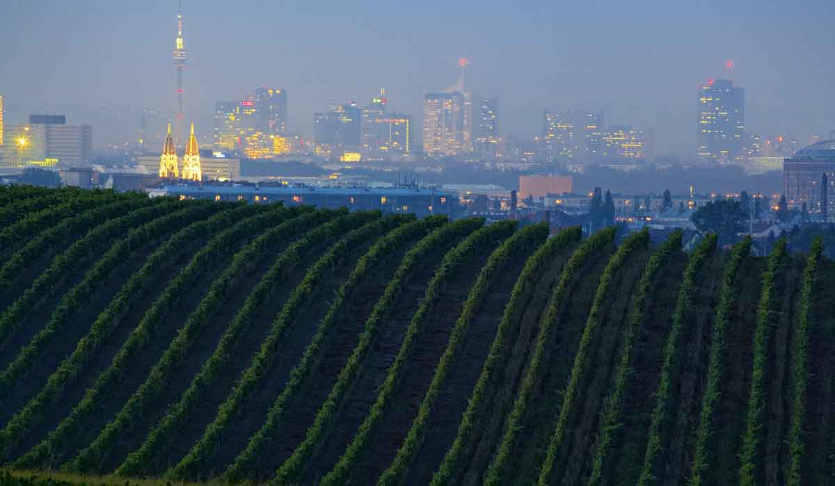 Genussreise durch Wien: Wien kulinarisch entdecken