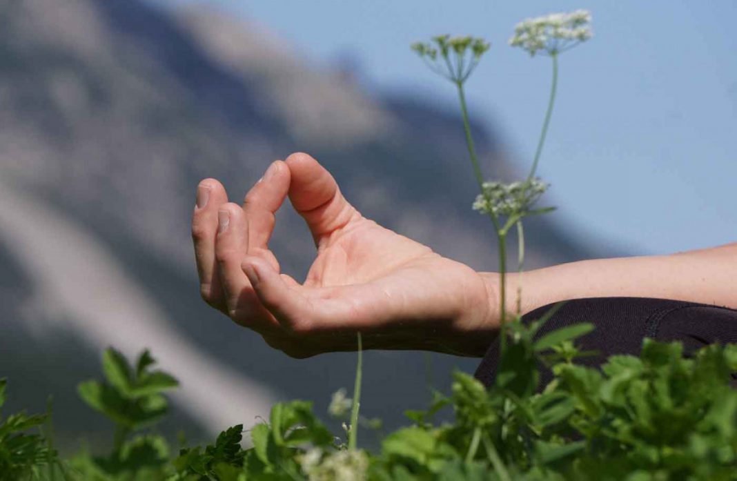 Kneipp Jubiläumsjahr 2021: Mal Vorsätze für die Gesundheit checken?