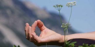 Kneipp Jubiläumsjahr 2021: Mal Vorsätze für die Gesundheit checken?