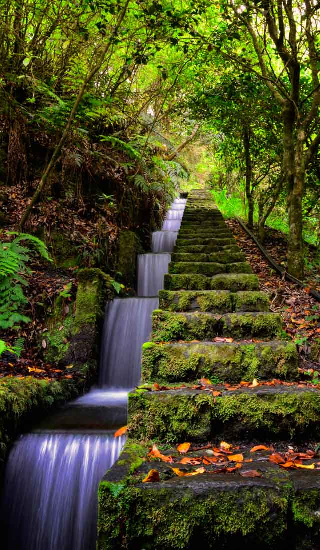 Lesend reisen nach Bordeaux, Madeira, Bayern und ins Fichtelgebirge