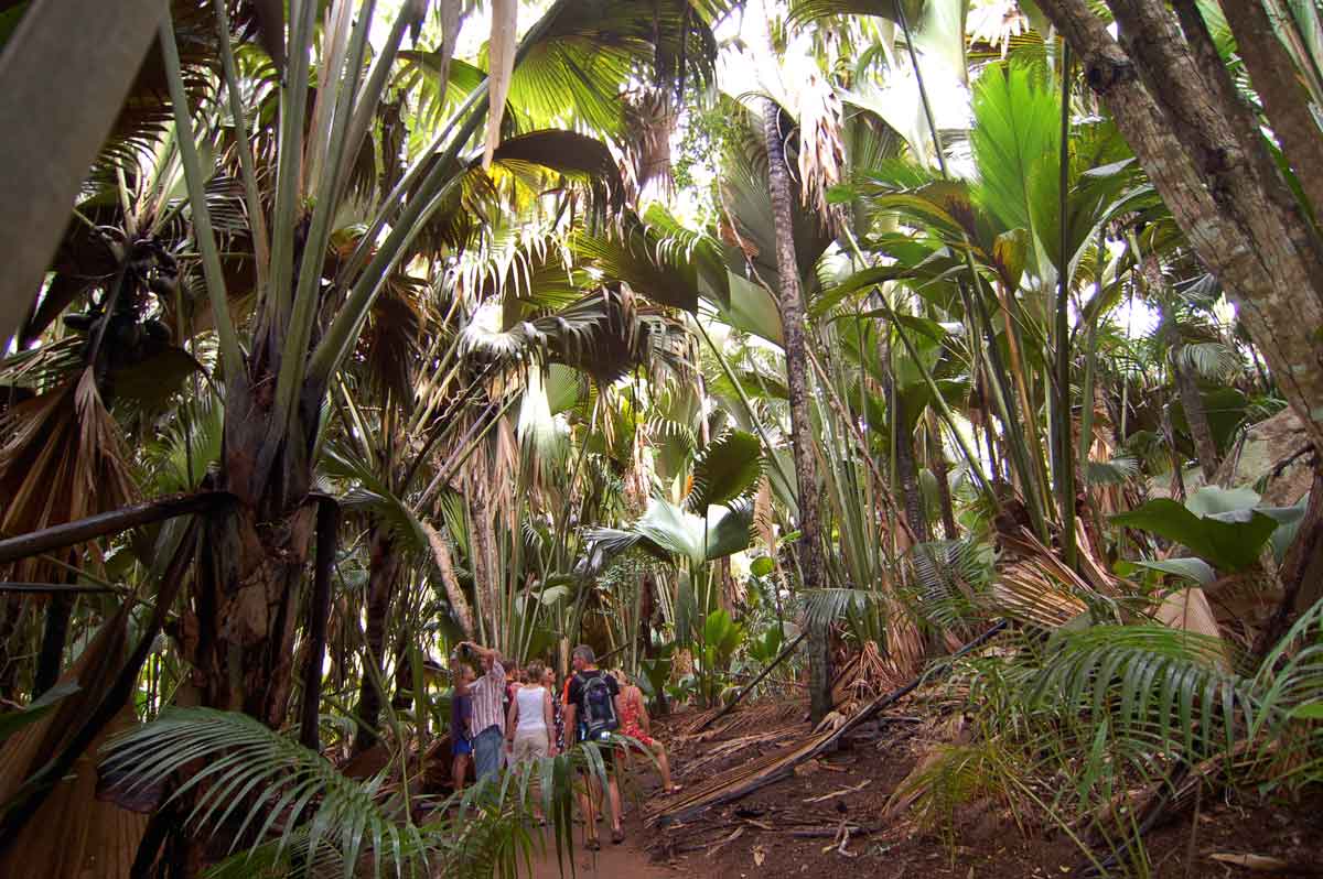 Ein Garten Eden - die Seychellen Teil 1