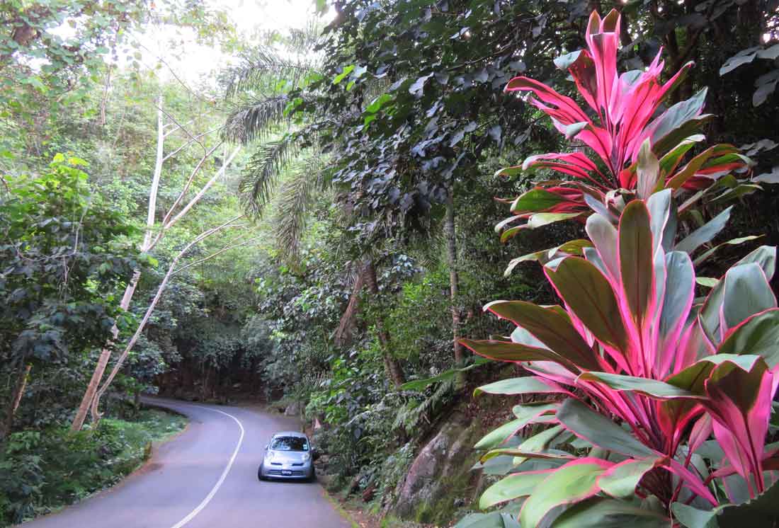 Ein Garten Eden - die Seychellen Teil 1