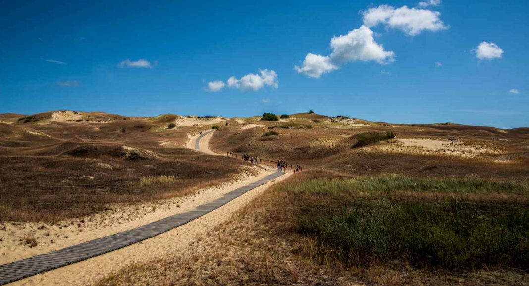 Litauen: Top-Wanderwege durch Sümpfe, Klippen und Lagunen