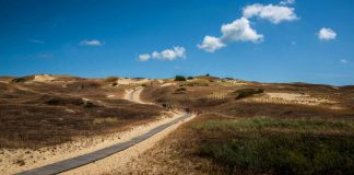 Litauen: Top-Wanderwege durch Sümpfe, Klippen und Lagunen