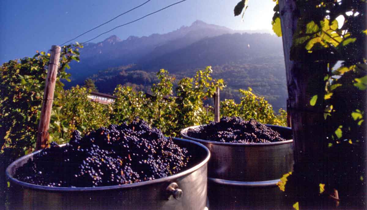 Kulinarisches Kleinod Liechtenstein