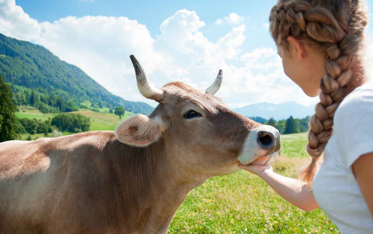 Eine Woche Auszeit im Allgäu zu gewinnen!