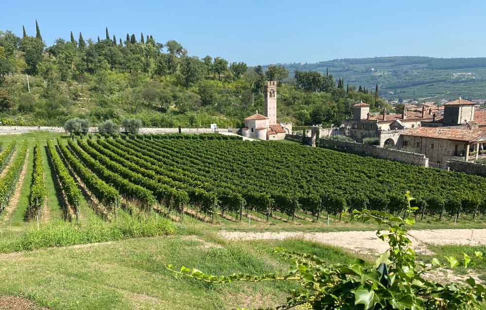 Verona, die Valpolicella-Weinberge und der Gardasee