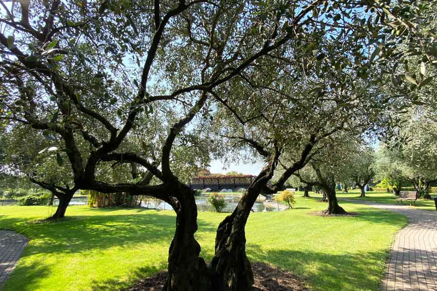 Der romantische Genuss-Hotspot Villa Quaranta nahe Verona