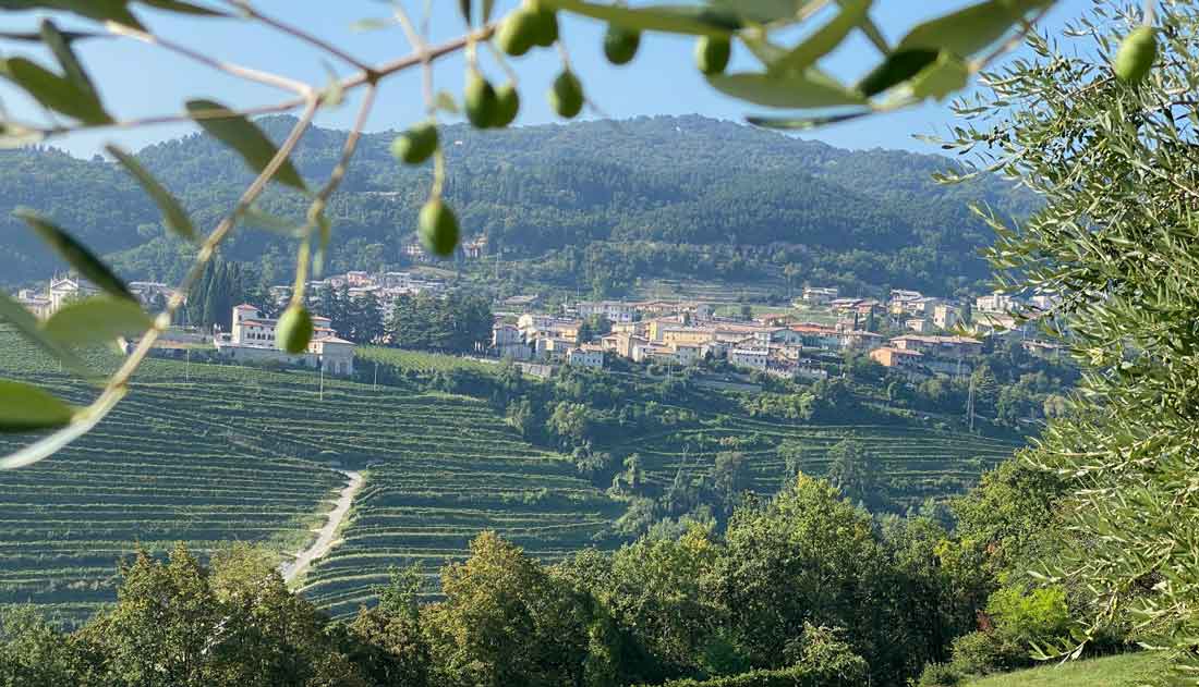 Verona, die Valpolicella-Weinberge und der Gardasee