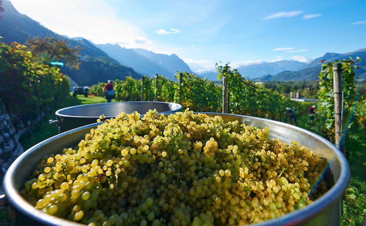 Fürstentum Liechtenstein: Natur, Kunst, Kultur und Genuß