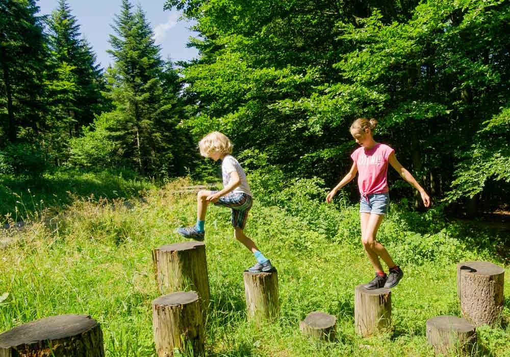 Auf Erlebnistour im Nördlichen Schwarzwald