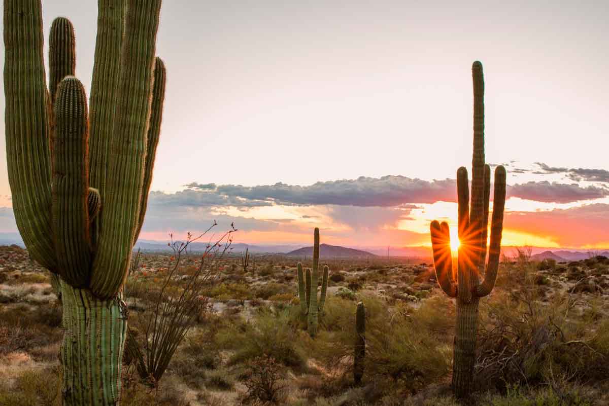 Besondere Naturschauspiele in Amerika