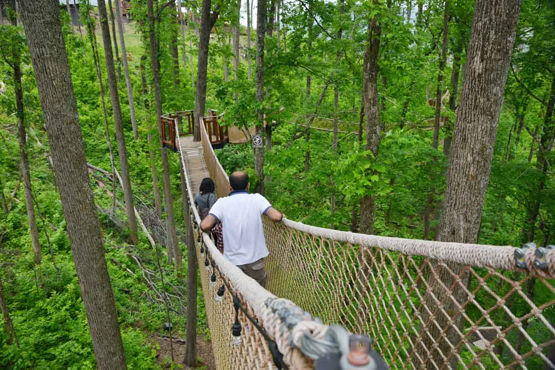 Tennessee: Von den Great Smoky Mountains nach Nashville