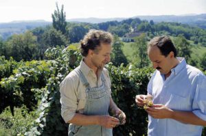 Schätze der Natur: das Steirische Weinland