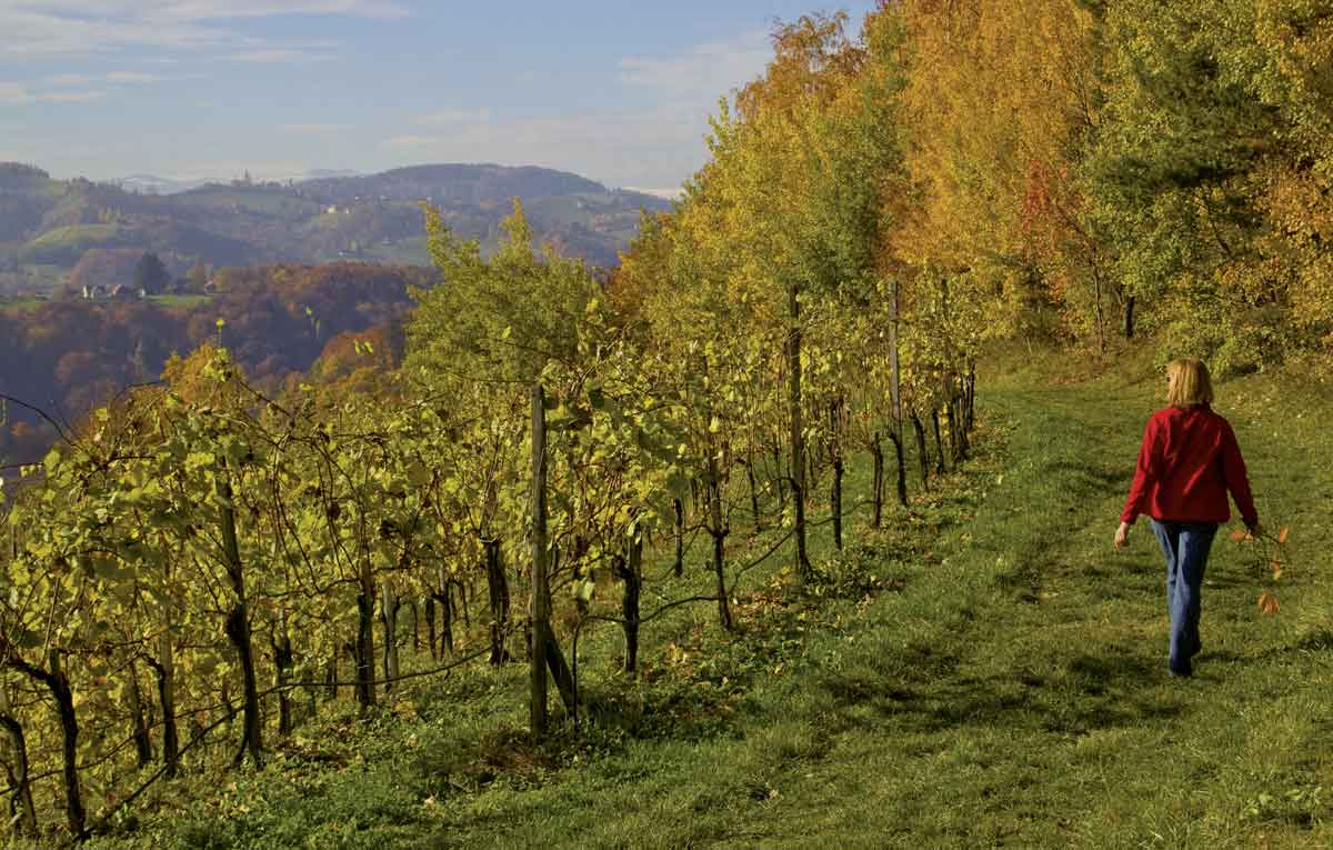 Schätze der Natur: das Steirische Weinland