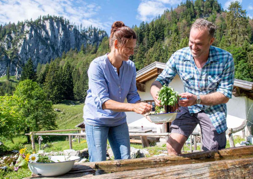 Kräuter auf der Alm: Ideen für Florian Lechner von Bergbäuerin Sandra Hörterer