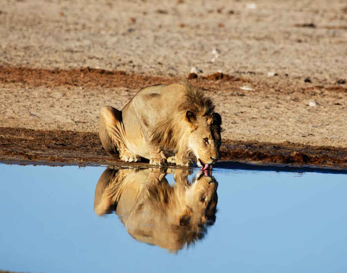 Gewinnspiel: Sonnengeflüster in Namibia